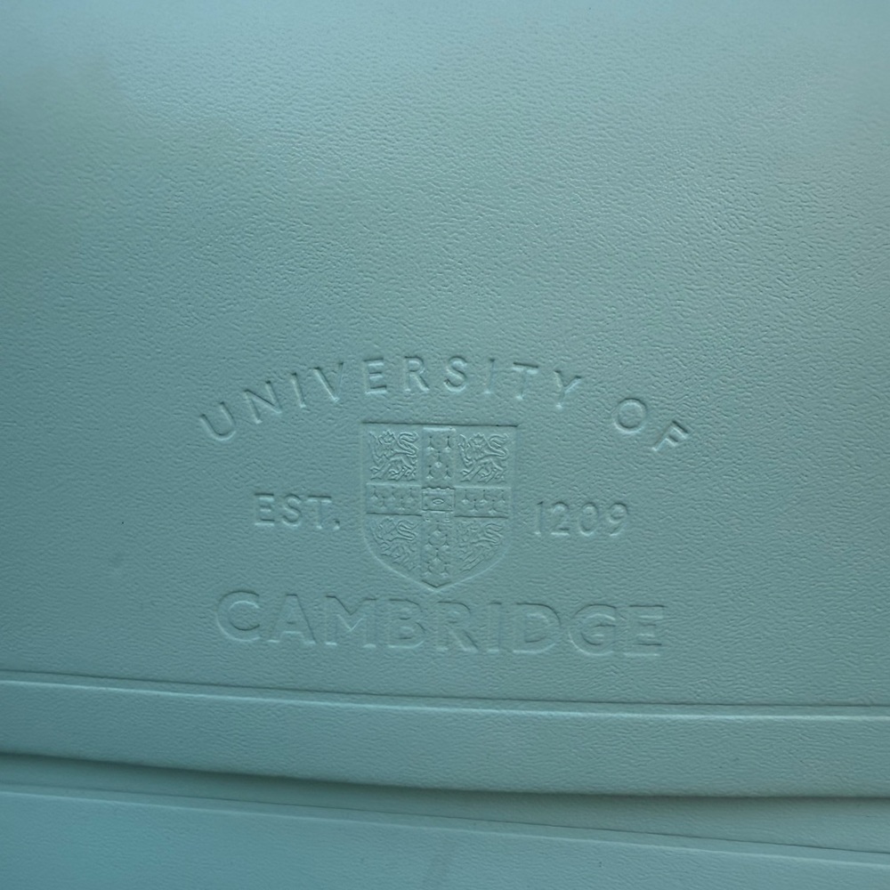 The Cambridge Satchel Company Leather Bag - Picture 2 of 14